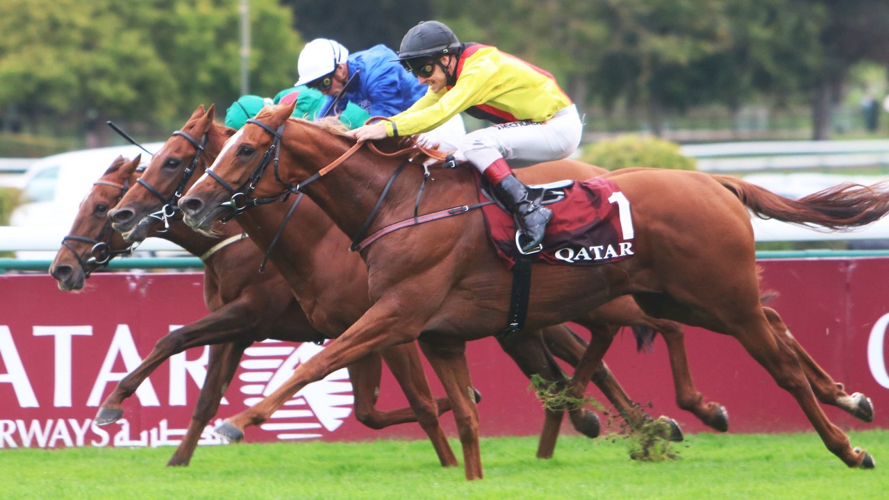 Mendocino Defeats Torquator Tasso At The Von Baden Image 1